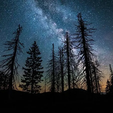 Ferienhaus Biela Skala - Chopok Jasna Juh Bystrá