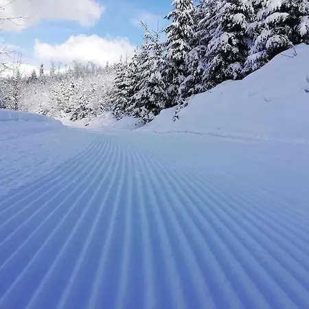 Biela Skala - Chopok Jasna Juh Ferienhaus Bystrá