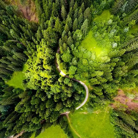Biela Skala - Chopok Jasna Juh Dovolenkový dom Bystra