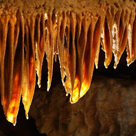 Dovolenkový dom Biela Skala - Chopok Jasna Juh